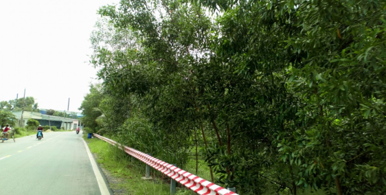 Đất SHR MT đường Nguyễn Văn Khạ. 100m2 chỉ 680 triệu/nền. Hỗ trợ 70% góp dài hạn