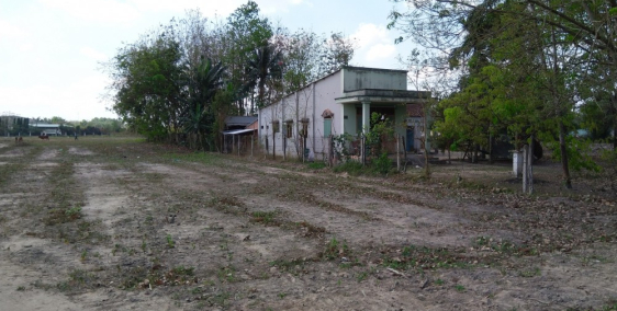 CẦN SANG GẤP NGÔI NHÀ CẤP 4 197M2, GIÁ 950 TRIỆU