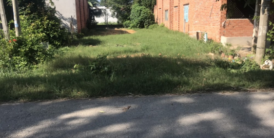 Chính Chủ Bán Gấp 200 m2 MT Trương Thị Kiện. Gần UBND, Trường Học. SHR. Giá 500T