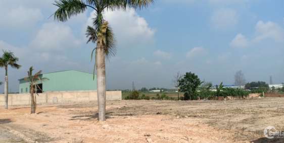 Cuối năm nay tôi cần thanh lý hết đất đai bán rẻ lấy vốn gần Ngã Tư Tân Quy