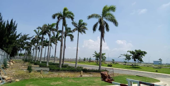 Đất nền Bà Rịa - Vũng Tàu hạ tầng hoàn thiện vơi 3 mặt giáp sông