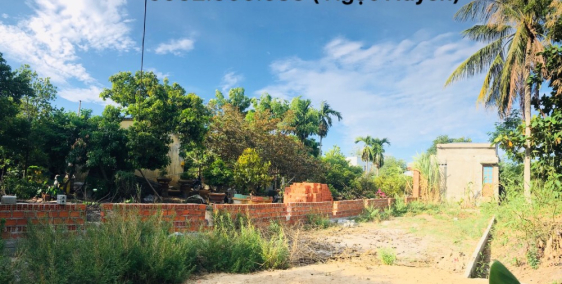 Chính chủ gửi bán 03 lô đất kiệt Ô TÔ Hòa Quý rất đẹp giá chỉ từ 1.3 tỷ/100m2