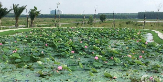 Đất Nhơn Trạch Đồng Nai, ngay mặt tiền đường 25C chỉ 750tr 100m2, thổ cư 100%