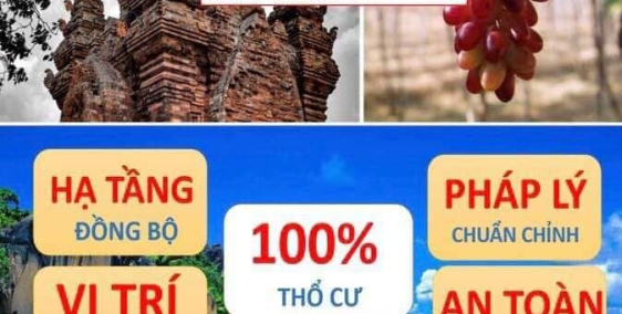 Cơn sóng biển xua tan cái nóng Ninh Thuận chỉ có tại Ninh Chữ Seagate