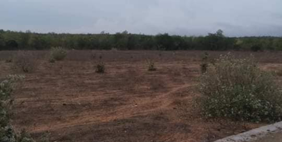 Bán đất nền dự án tại Đường Tỉnh Lộ 715, Phan Thiết, Bình Thuận diện tích 1000m2