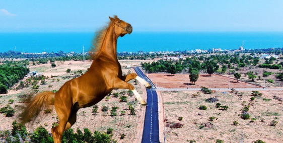 Bán đất trồng cây ở thiện trung xa thiện nghiệp, TP. Phan Thiết với  giá 950/m2