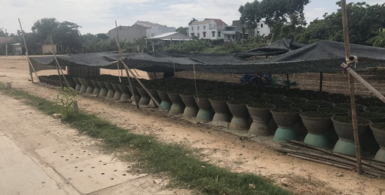 BÁN ĐẤT XÓM 4 NGỌC ANH – NƠI AN CƯ - LH: 0766690560