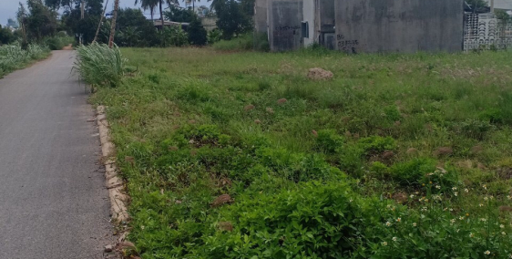 Sở hữu lỗ đất vàng giá rẻ tại tuyến đường Hà Huy Giáp, Quận 12