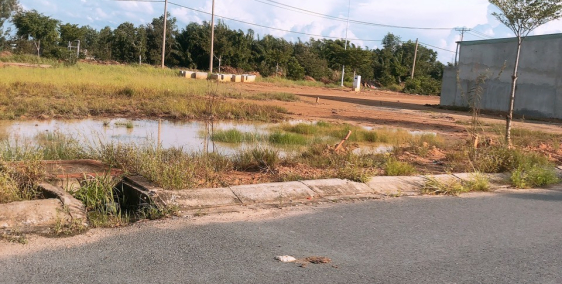 Bán gấp 3 nền đất thổ cư đường nhựa gần chợ