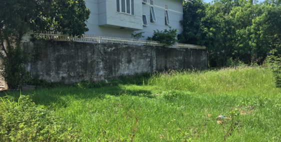 Bán đất khu biệt thự QL13, Hiệp Bình Phước, Thủ Đức, sổ cá nhân bao sang tên.