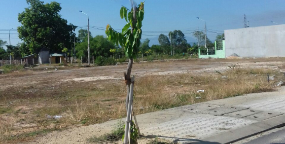 Nhà đầu tư BĐS Đà Nẵng đang bị chôn vốn đến cuối năm?