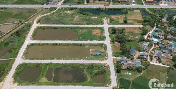 Đất nền Quảng Tâm vị trí vàng, giá trị sinh lời cao chỉ hơn 8 triệu/m2