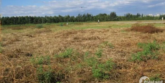 Bán gấp thửa đất ngõ 358 Bùi Xương Trạch 990 triệu, 33m2, giao luôn