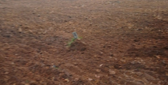 đất becamex thành phố mới bình dương