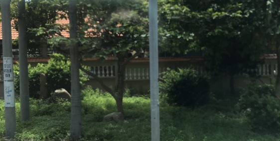 Đất nền ngay TT Phú Mỹ, MT đường Trường Chinh, thổ cư 100%, SHR,