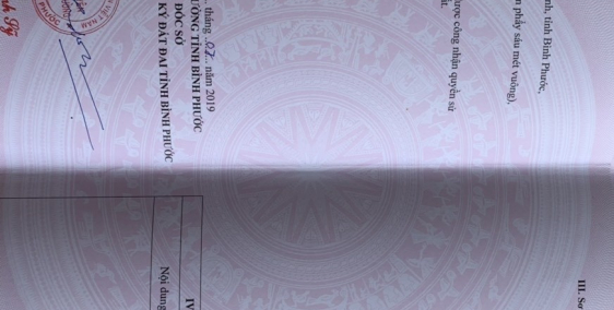 Tôi có hơn 2 sào đất sát BECAMEX cần bán 500tr/sào