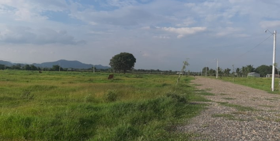 bán đất đại lộc,Hàm Hiệp để đầu tư hoac xd nhà vườn