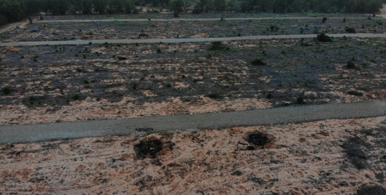 Đất nền khu sinh thái sân bay Phan Thiết giá rẻ như cho