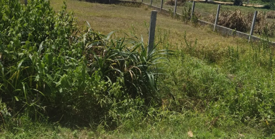 BÁN LÔ ĐẤT KIỆT Ở HOÀNG HỮU THƯỜNG – THỦY CHÂU - LH 0766690560 - Phượng