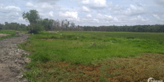 LÔ ĐẤT 5000M2 Ở VÙNG NGOẠI Ô THÀNH PHỐ-CỦ CHI,GIÁ CHỈ 1 TRIỆU/M2