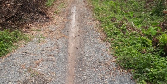 ĐẤT GIÁ RẺ! 1531M2 ĐẤT TRỒNG CÂY HÀNG NĂM, CÁCH CHỢ CỦ CHI 4KM. GIÁ 980 TRIỆU.