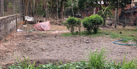 Bán 5.500m2 đất vườn xã Trung An,Củ Chi.