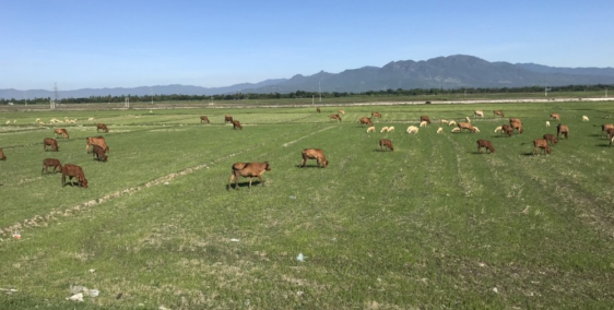 Cần Bán Thửa Đất Mặt Tiền Đường QL 1A, Diện Tích Lớn, Phù Hợp Xây Dựng