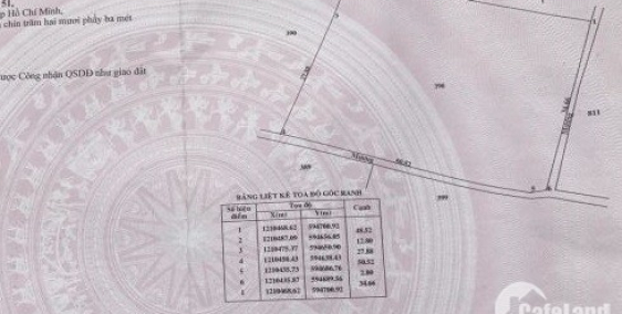 1920M2 ĐẤT TRỒNG CÂY CHÍNH CHỦ HẺM ĐÌNH THẦN NGUYỄN XIỂN QUẬN 9