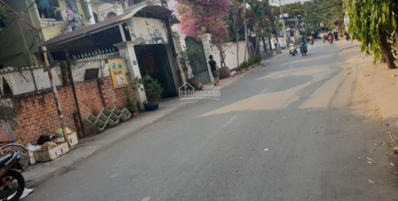 Cho thuê mặt bằng Xuân Thủy đoạn đẹp nhất Thảo Điền Quận 2 diện tích lớn 9x20m