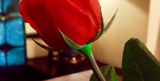 Cho thuê nhà 2 MT rộng 12,5m đường Lý Tự Trọng,quận Hải Châu,Đà Nẵng 4 tầng, giá