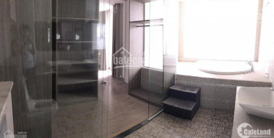 Cho thuê nhà số 33 đường Quốc Hương, phường Thảo Điền, Quận 2 giá rẻ tiện KD