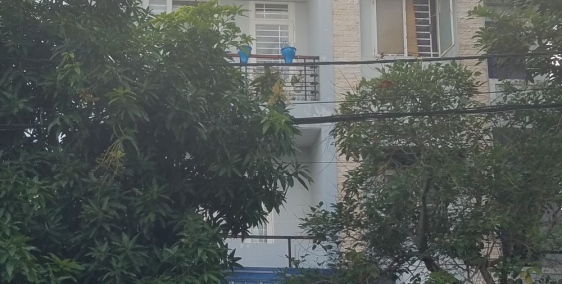 Cho Thuê Nhà Mặt Tiền Khu Tên Lửa (4.5*23)