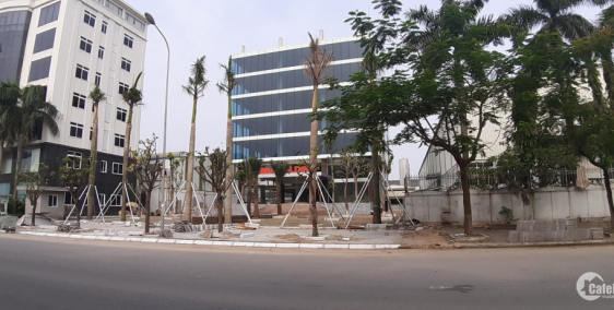 Cần cho thuê gấp toà văn phong Hạng B 500m x 7 tâng 1 hầm mặt đường trần hữu dực
