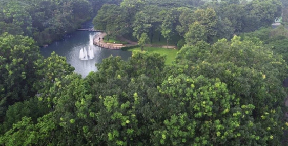 Cần bán căn hộ 53m2 Celadon city thanh toán cực tốt