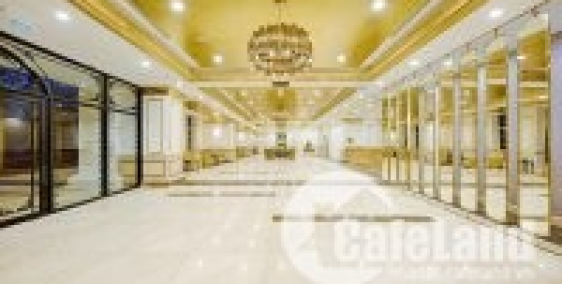 CHỈ TỪ 1,2 TỶ SỞ HỮU CĂN HỘ 5*CÓ TẦM NHÌN ĐẮT GIÁ NHẤT ĐÀ NẴNG - TIN ĐƯỢC KHÔNG