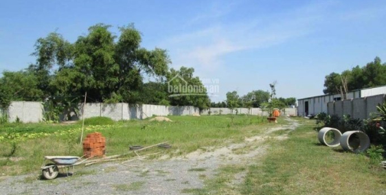 Cần tiền chạy thận cho con, bán gấp xưởng 1127m2 ngang 19,2m mt Hương lộ 11, giá