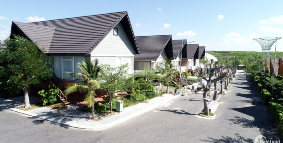 Eco bangkok Bình Châu: Rừng vàng du lịch - Biển bạc đầu tư