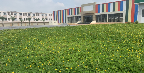 Cần Bán Nhà Mặt Tiền Quốc Lộ 51, SHR, Giá Chỉ 4,500tỷ/Căn,N.Hàng Hổ Trợ 70%, Lh: