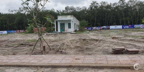 ĐẤT NÊN GIÁ RẺ 300M2 BẮC BÌNH DƯƠNG