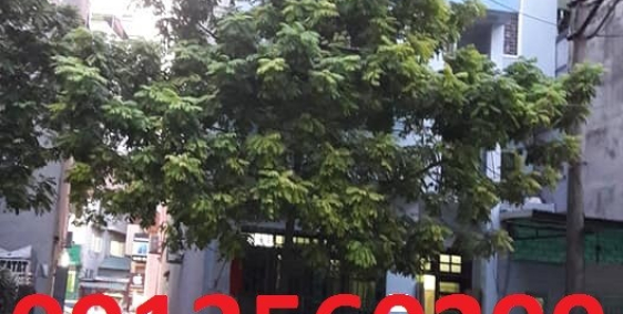 Bán nhà mặt phố Lý Thường Kiệt Hà Đông 50m2 MT4,5m KD 4,5 tỷ