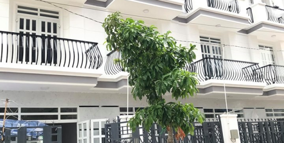 Cần Bán Nhà Phố Hoàn Thiện Khu Đô Thị Phúc Đạt.