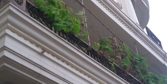 Cần bán nhà 5 tầng, mặt ngõ Xuân Thủy, Cầu Giấy. Dt: 50m2, Mt: 4m, nở hậu.