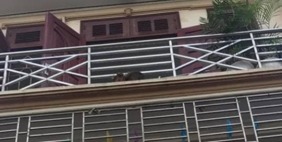 Bán nhà phố Huỳnh Thúc Kháng, Đống Đa, 42m2, 4 tầng,  Khu Phân lô, Ô TÔ ĐỖ, 5.3