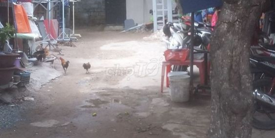 Nhà nhỏ Linh Tây Thủ Đức, TPHCM