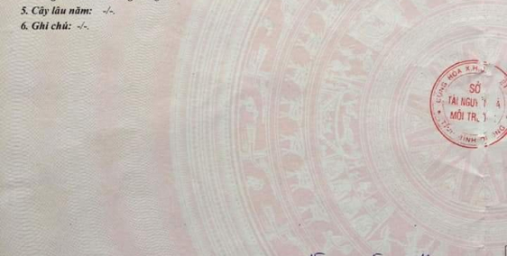 Đất Mỹ Hảo Giá Hấp Dẫn Cơ Hội đầu Tư Cao