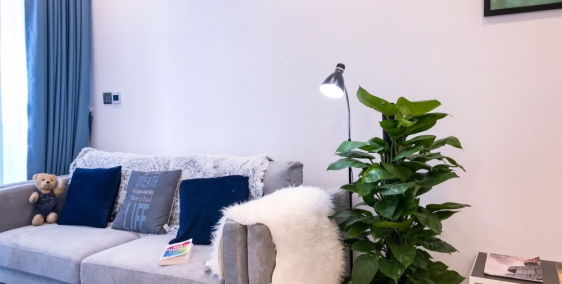 Cho thuê căn hộ VINHOME BASON cao cấp gia re