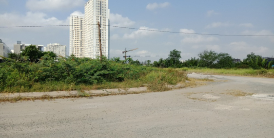 đất mặt tiền ql50,giá 989tr/nen ,shr ,ngân hàng hỗ trợ 70%, tt 95% sang tên ngay