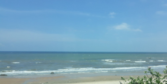 Bán lỗ khẩn cấp đất mặt tiền ven biển Long Hải giá 579tr SHR