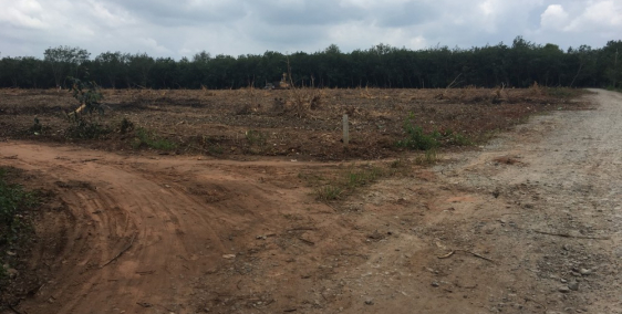 Đất Bình Dương giá rẻ 1000m đường 6m giá 380tr Lh: 0842368468 Mr.Chiến.