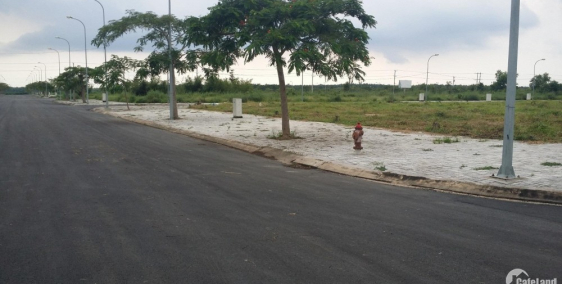 Cần tiền cá độ , bán gấp 3 lô đất Q2.....